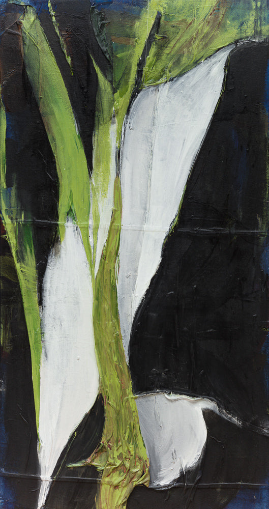 Peace Lily (38